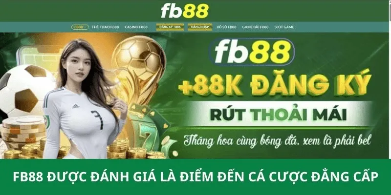 Dịch vụ chăm sóc khách hàng chuyên nghiệ