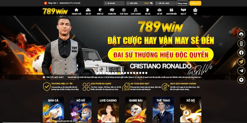Giới thiệu tổng quan về nhà cái 789win
