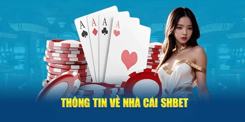 Nhà cái Shbet Vì sao nhà cái Shbet ngày càng được yêu thích?