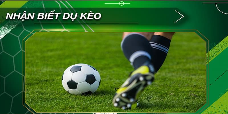 Kèo dụ Sai lầm phổ biến khi gặp kèo dụ