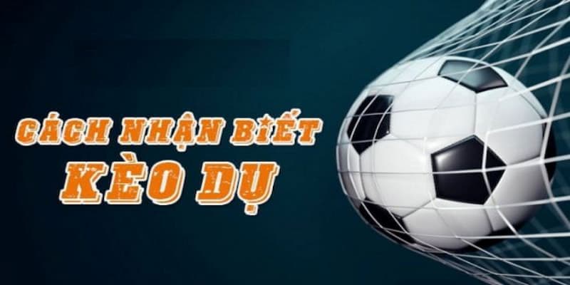 Kèo dụ