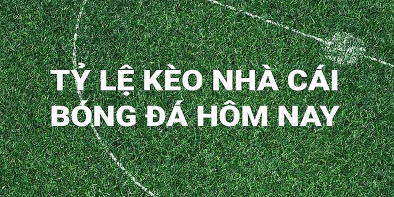 Tỷ lệ kèo nhà cái Ưu điểm khi soi tỷ lệ kèo nhà cái